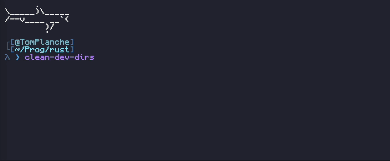clean-dev-dirs preview